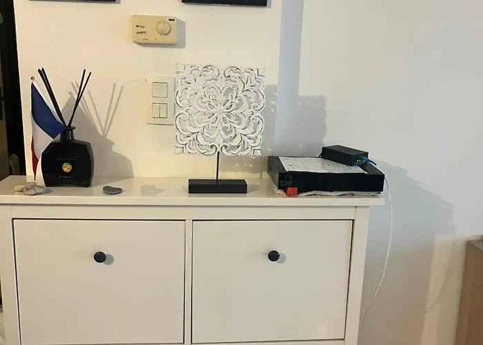 Appartement Grande Salon Climatisé Dans Partagé Avec Parking Devant La