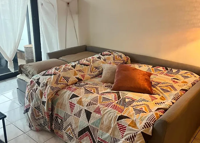 Grande Salon Climatisé Dans Partagé Avec Parking Devant La Appartement Antibes