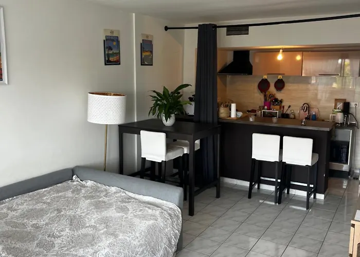 Appartement Grande Salon Climatisé Dans Partagé Avec Parking Devant La